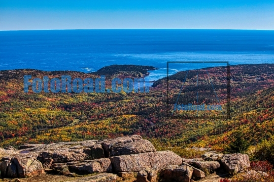 Autumn colors from Acadia NP