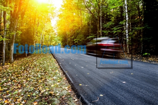 Car driving thru autumn road with sun beams