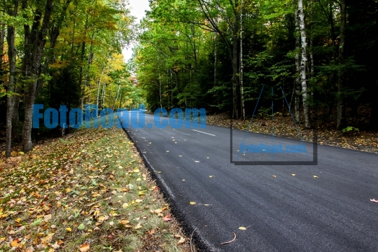 Empty autumn road