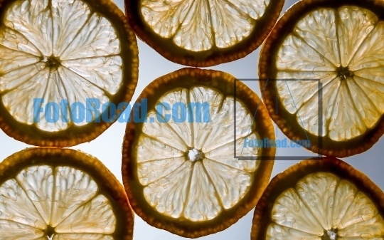 Lemon circle slices on glas from under