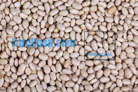 Navy beans background