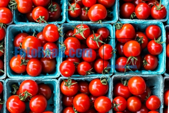 Red tomatoes in paper containers