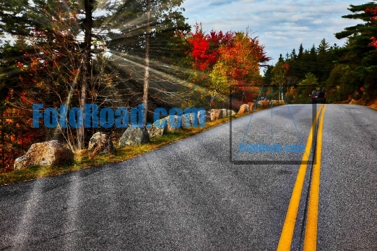 Road in Acadia NP