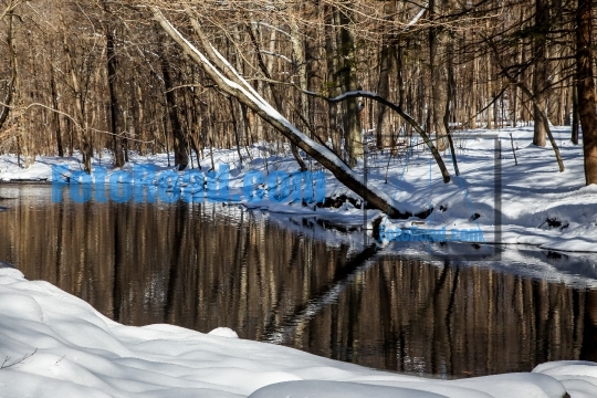 Winter background from  landscape near water