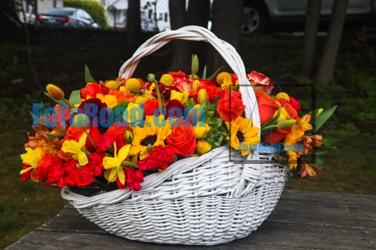 Beautiful basket with colorful flowers outdoor on table