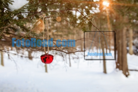 Jingle bell on tree with winter landscape