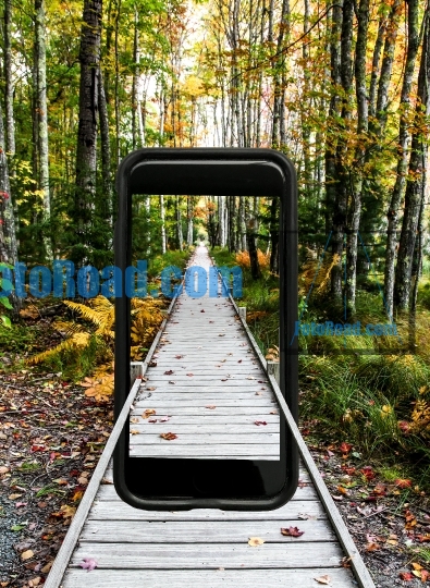Landscape inside phone frame