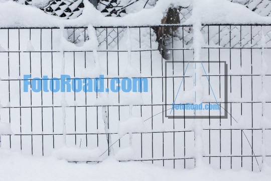 Wired fence background covered with fresh snow 